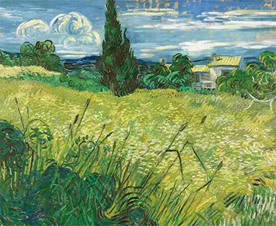Grünes Weizenfeld mit Zypresse Vincent van Gogh